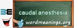 WordMeaning blackboard for caudal anesthesia